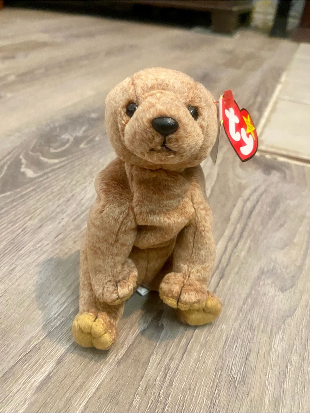 Ty 1999 Brown Pecan Plush Bear with original tags.